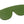 Etui na okulary Lups The Case Army Green